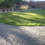 Usual canine damage | Artificial Grass Installation